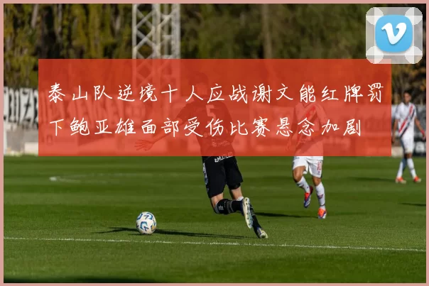 泰山队逆境十人应战谢文能红牌罚下鲍亚雄面部受伤比赛悬念加剧
